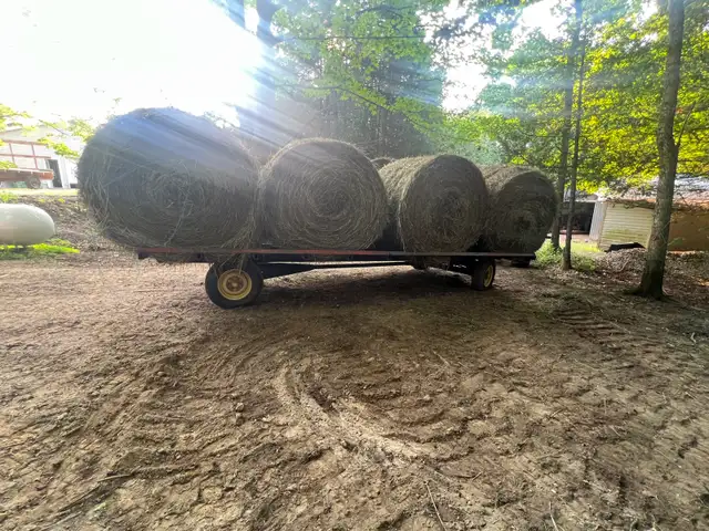 4x5 round bales in Livestock in Owen Sound - Image 3