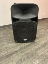Samson 15” D15 Passive Speakers