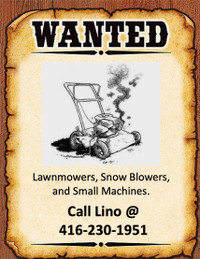 WANTED: Broken small Engine machines (snowblowers)