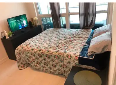 Furnished Apt available immediately Perfect for people looking for Short term or even long term $450...