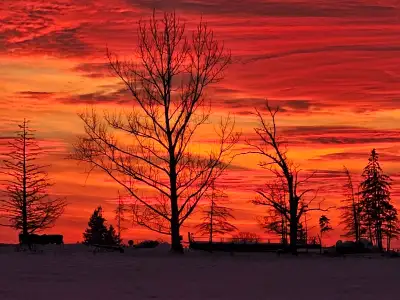 Looking for driving job that includes taking vehicle home., View more