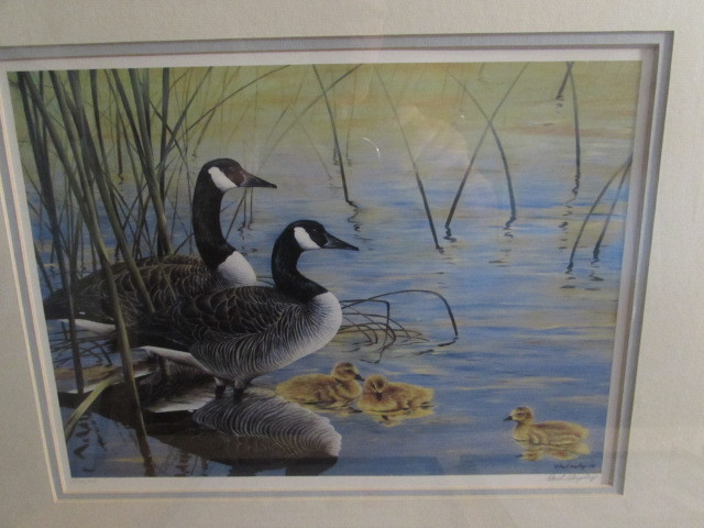 Paul Harpley "Goose Family" Framed Limited Print in Other in Hamilton