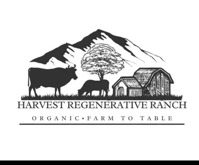 Fresh organic free range eggs for sale! Our hens lay a variety of different coloured rich eggs. They...