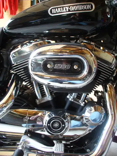 Comes with detachable windshield, locking Viking hard saddle bags with keys, engine guard, rear lugg...