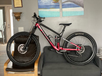Trek Fuel EX Mountain Bike Large ( red  )