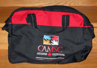 Camsc & Royal Caribbean bags & Cars Key Chains