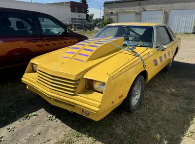 Howdy, I’m looking to buy a old race car of some sorts. Brand or flavour doesn’t really matter. Can...