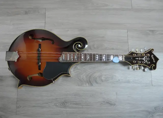 Professional Guitar Repairs in Sherwood Park in Guitars in Strathcona County - Image 5