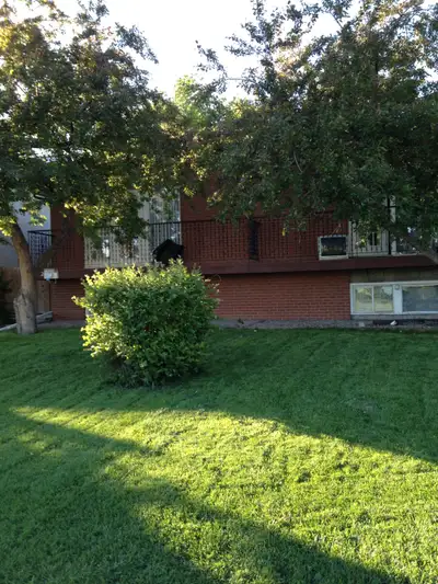 2-bedroom basement suite for rental