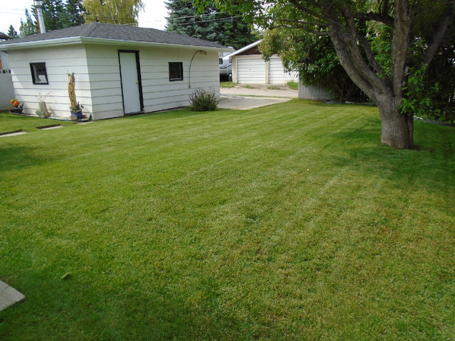 "Just in Time Lawn Care" All yard Services. in Lawn, Tree Maintenance & Eavestrough in Calgary - Image 4