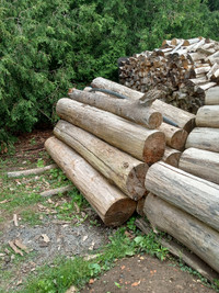 Clean Poplar Logs (firewood)
