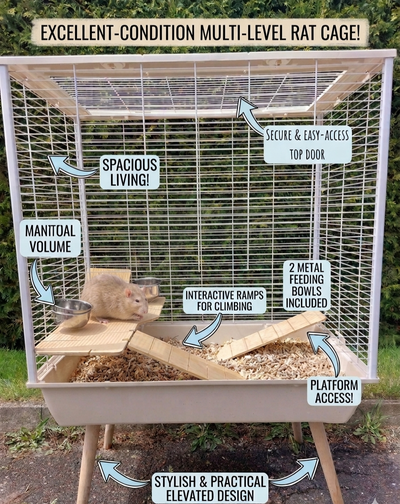 Grande cage multi-niveaux pour rats en excellente condition, View more