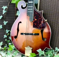 1970's Aria / Ibanez F Style Mandolin Made in Japan 