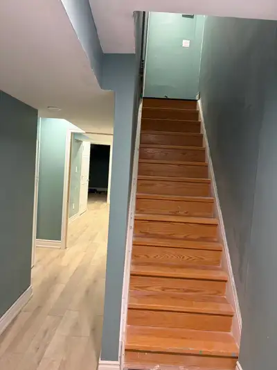 Huge Basment Appartment with Seperate enters newly constructed and furnished. Large windows, new app...