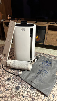DeLonghi Pinguino 14,000 BTU Portable Air Conditioner 