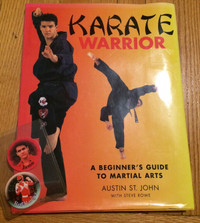 Power Rangers Red Ranger Austin St. John Karate Warrior Book