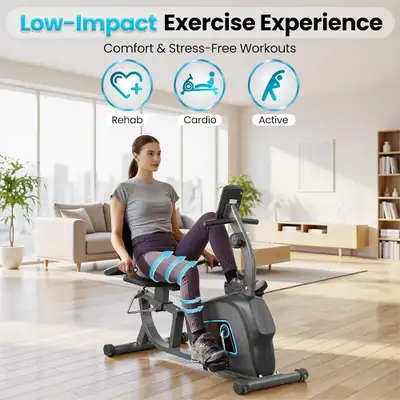 BODIOO Recumbent Exercise Bike for Seniors,8-Level Resistance300, View more