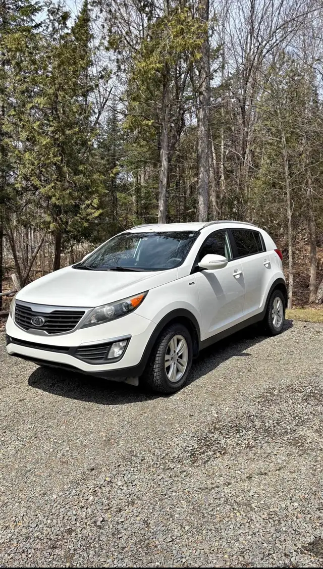 Wanted: Hyundai & Kia With Blown Engine 