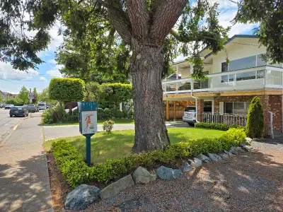 For rent fully furnished 3 bed home downtown Sidney 1 block f