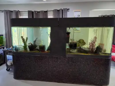 Double Bullet 140g Aquariums on Stand with Canopy, View more