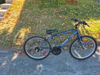 Carrera bicycle great for pre teen, View more