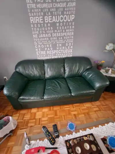 Cet ensemble de sofa et causeuse en cuir véritable vert foncé offre un confort et une durabilité exc...