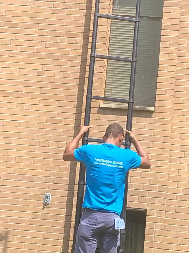 window cleaning471854757363077122