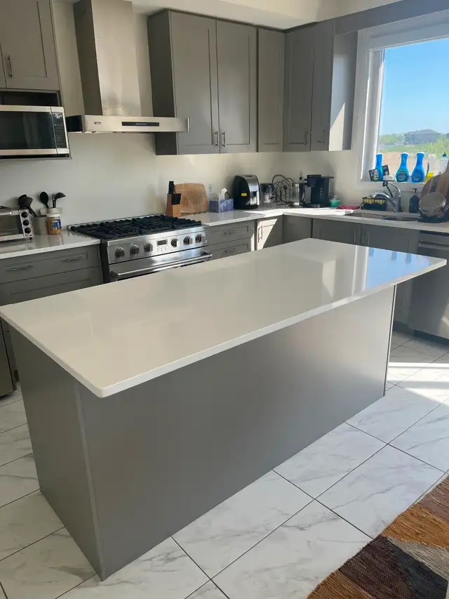 Professional Cleaning482653118430586884