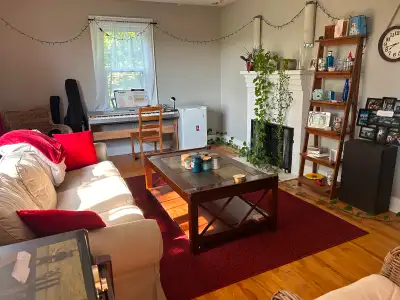 Beautiful, Spacious Apartment to Sublet – Everything Included!