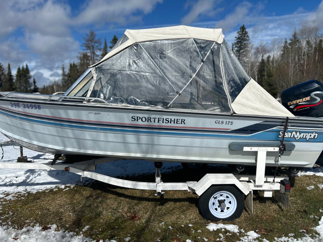 Boats and Trailers  in Personal Watercraft in North Bay - Image 3