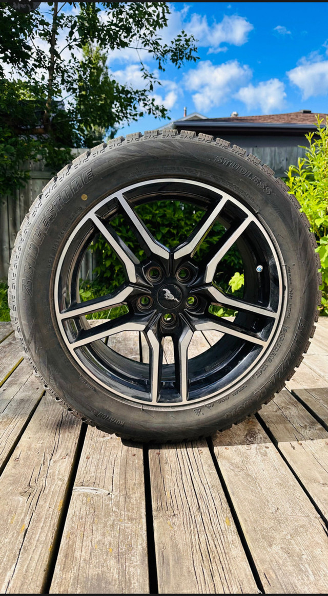 Ford OEM 18” wheels in Tires & Rims in Thunder Bay