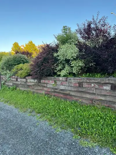 Looking for 3-4 bedroom house/apartment.