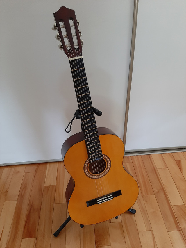 Acoustic guitar in Guitars in Ottawa