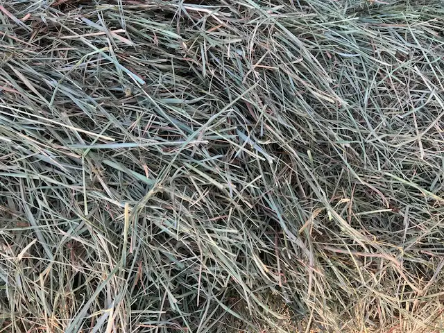 Hay for Sale in Livestock in Cranbrook - Image 5
