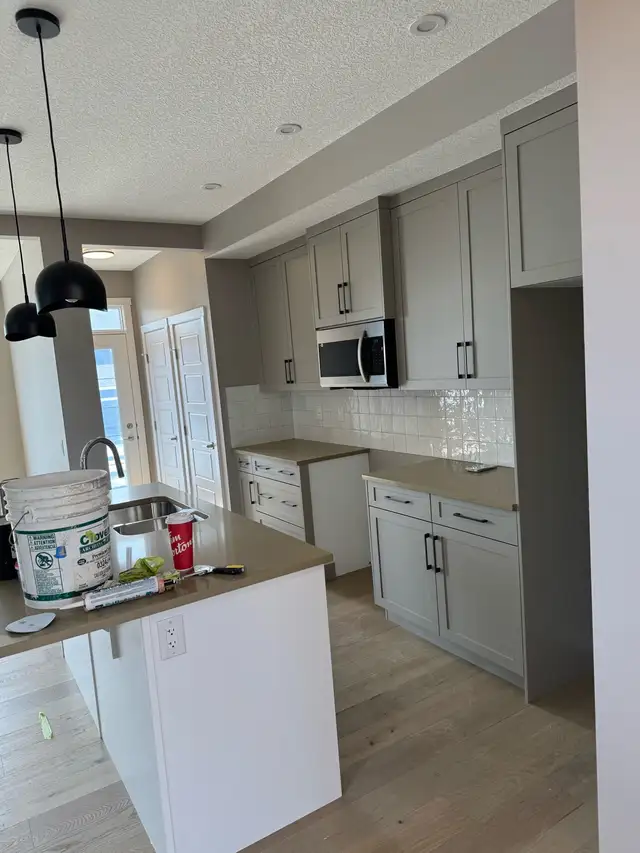 Professional Painter505382055162030084