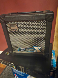 Roland cube 15x combo amp
