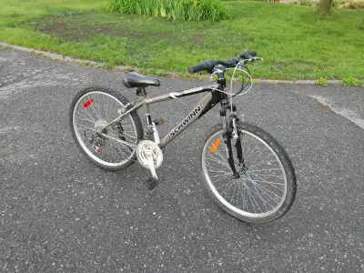 Schwinn small aluminum bicycle, View more