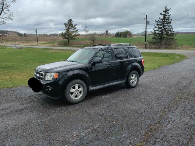 2009 Ford Escape limited  in Cars & Trucks in St. Catharines - Image 3