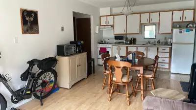 Appartement 1 chambre, 1 salle de bain Disponible à partir du 1er avril. Situé derrière la rue St‑Hu...