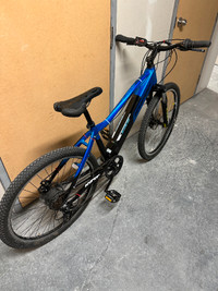 Urban E-bike MTB
