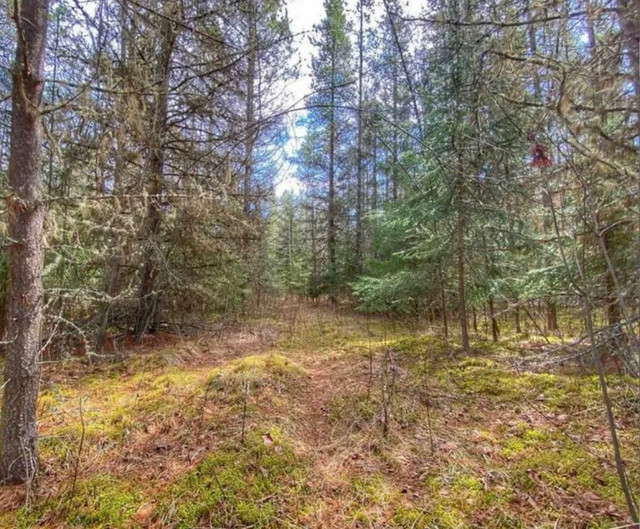 Northern BC land for sale Land for Sale Smithers Kijiji