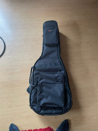 Protec Dual Electric Guitar gig bag