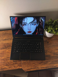 GTX 1060, i7-8750h, 16gb ram, 500gb m2 ssd, gaming laptop