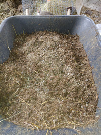 Rabbit manure