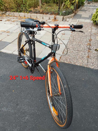 Bike  24" 1×6 Speed