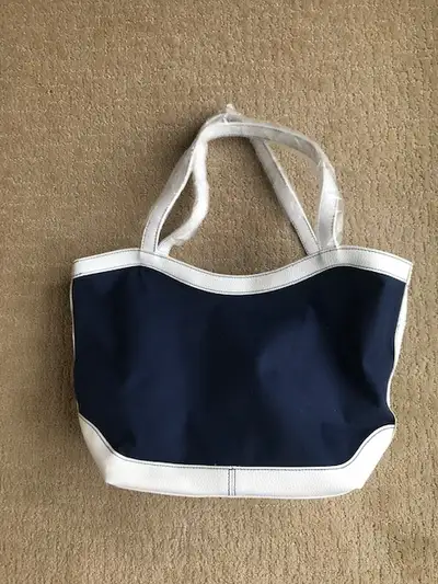 Never used bright tote bag. Measures 15x10 inches. Pick up in the Warden and Hwy 7 Area.