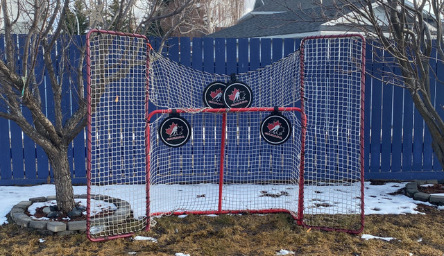 Hockey net  in Hockey in Calgary