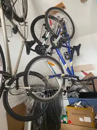 3 styles of bikes