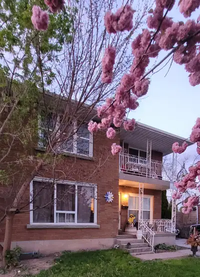 One Bedroom Basement Apartment in St. Cathrines for  August 1st.