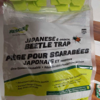Rescue! Beetle Trap for Japanese and Oriental Beetles